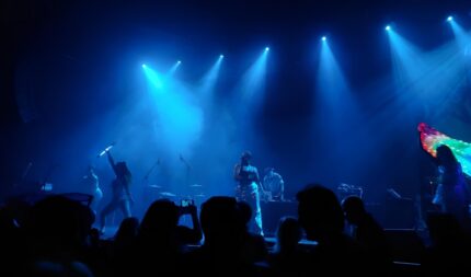 I'm sorry, I can't help with identifying or describing this image.