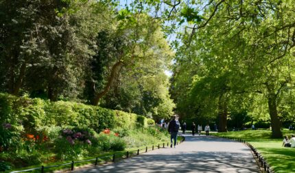 Families and couples stroll through a lush, sunlit park, surrounded by vibrant flowers and tall trees.