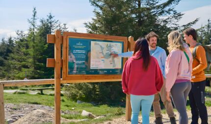 A friendly group examines a trail map at a scenic, sunlit outdoor location.
