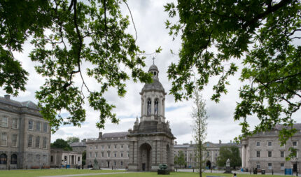 A historic courtyard with lush trees, perfect for a family stroll near Harveys Guesthouse.