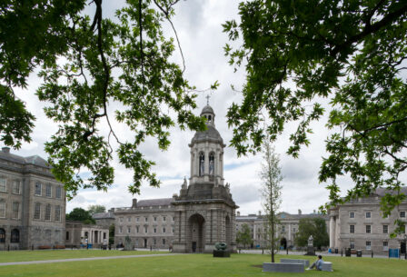 A historic courtyard with lush trees, perfect for a family stroll near Harveys Guesthouse.